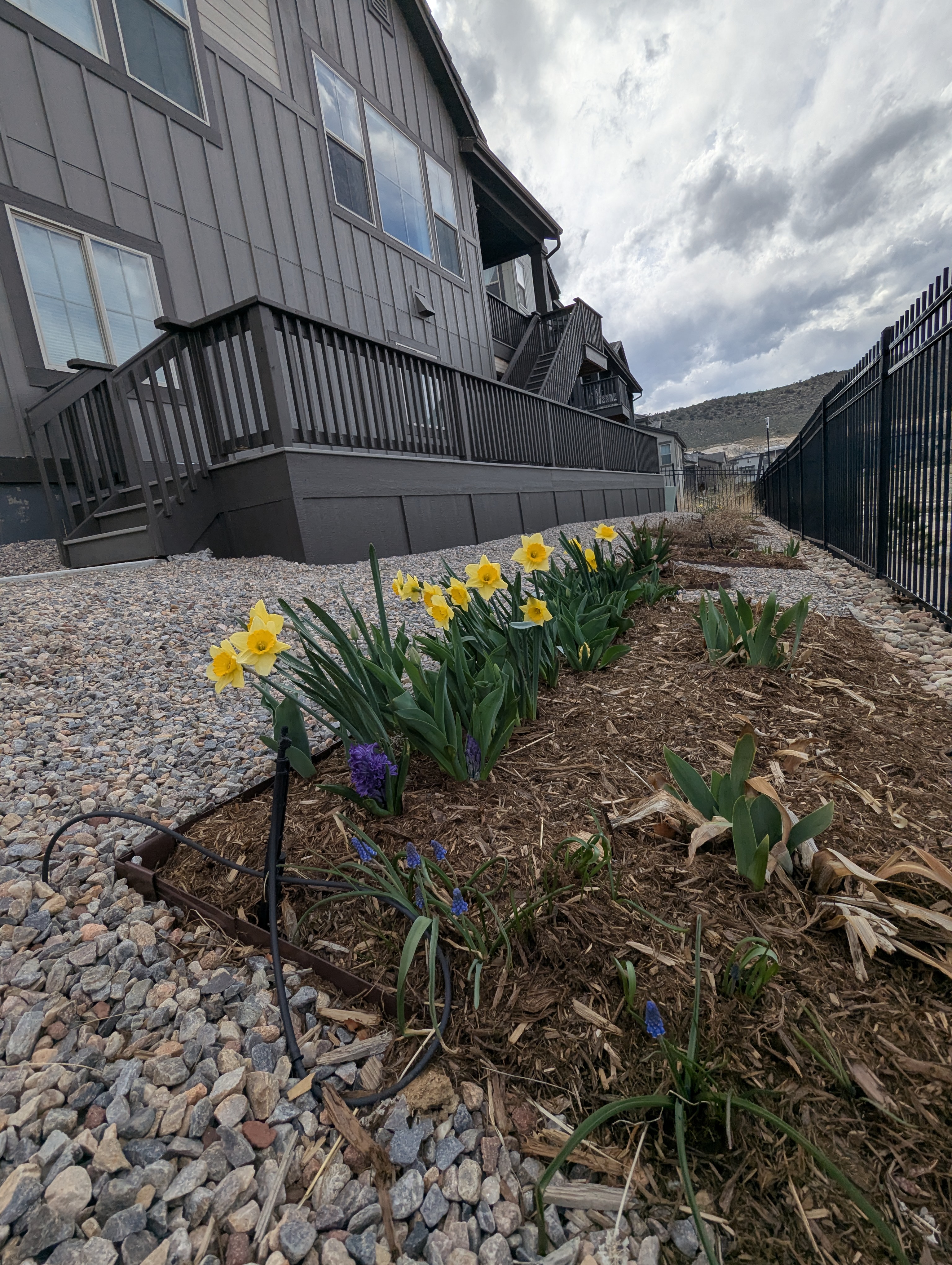 Garden, Flowers, Morrison, Colorado